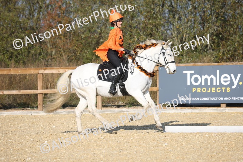 L20261031-0150 - Class 5 - Novice 2