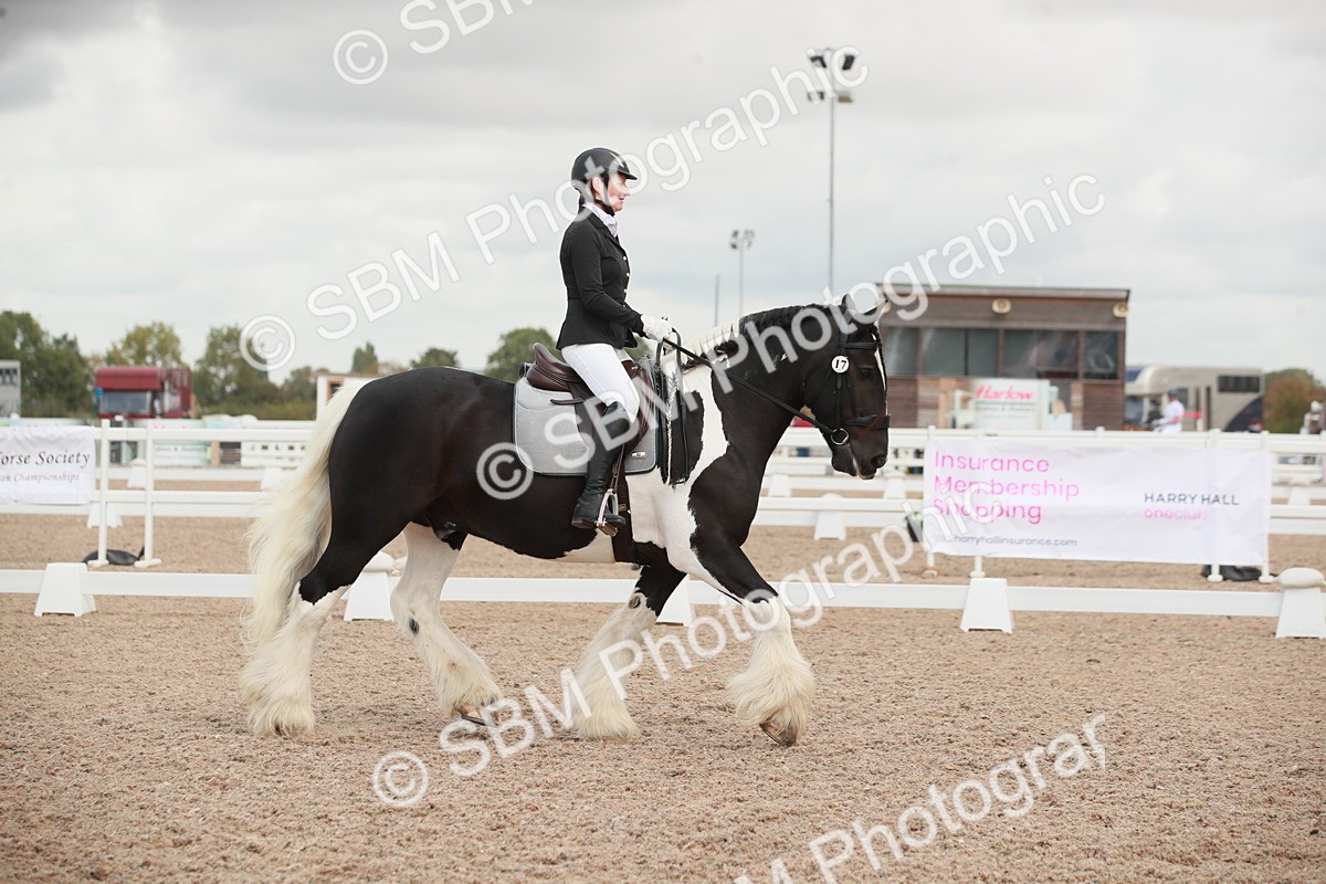 SBM_03809 - Class 31 - Prelim 1