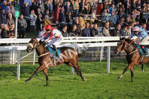 yr07102022r7-23 - Race 7 5.35pm IRE Incentive, It Pays To Buy Irish Stakes