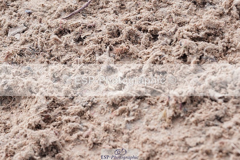 250425-105250-08508 - Cls 38 Amateur Tour