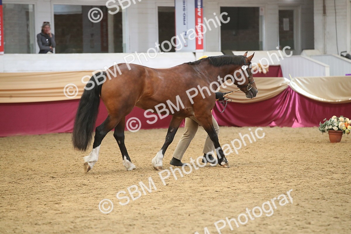 SBM_05651 - Class 9R - Regional IH Pre-Vet