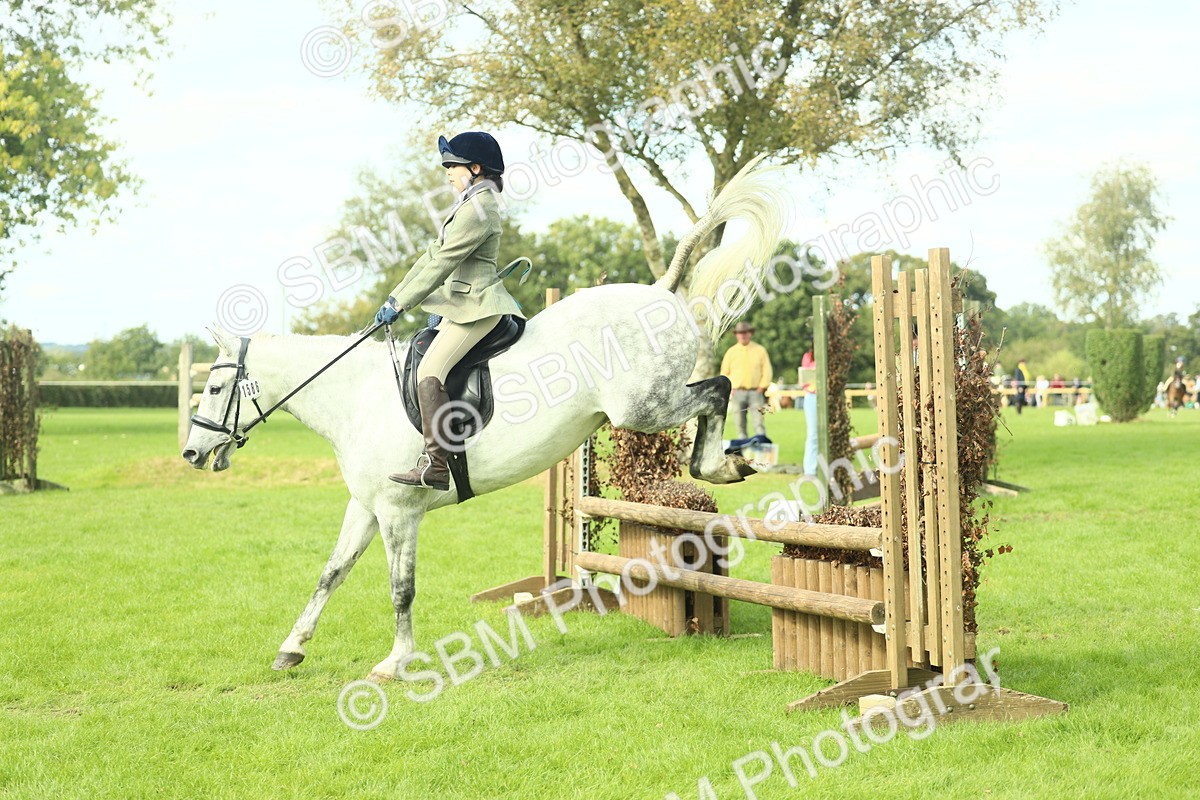 SBM_48005 - S32 - Novice & Newcomers Working Hunter