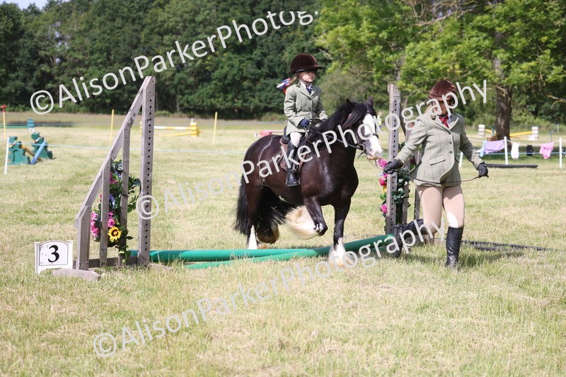 20260614-0617 - Class 20 - Beginners Working Hunter Pony