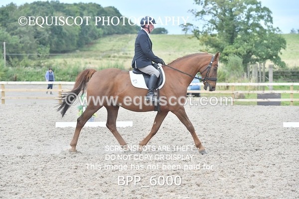 BPP_6000 - PRELIM TEST 5 LONG ARENA