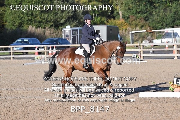 BPP_8147 - LONG ARENA