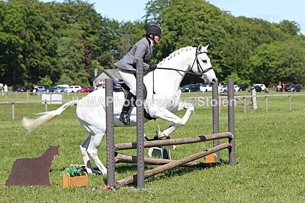 IMG_3983 - Working Hunter