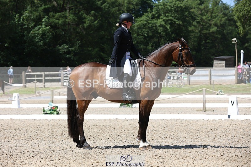 230526-114157-06097 - 154-GELUK_G-Molly_Adams-WEDTrotUp+DR