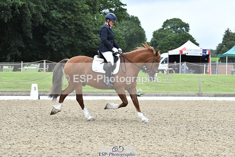 230812-091900-02763 - Cls 6 Novice Silver Start to 10.20 break