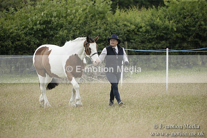 B230619-0696 - Bourne Valley Riding Club Summer Show 23/06/19