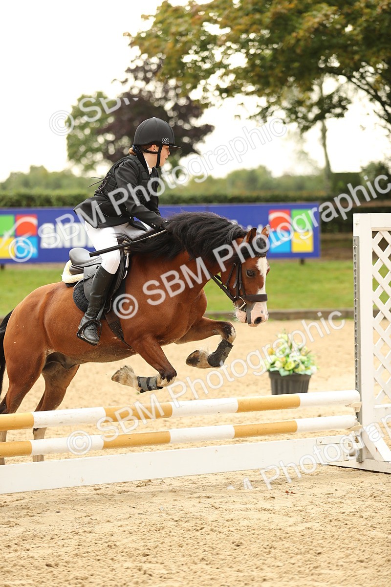 SBM_34258 - J60 Clear Round 50cm