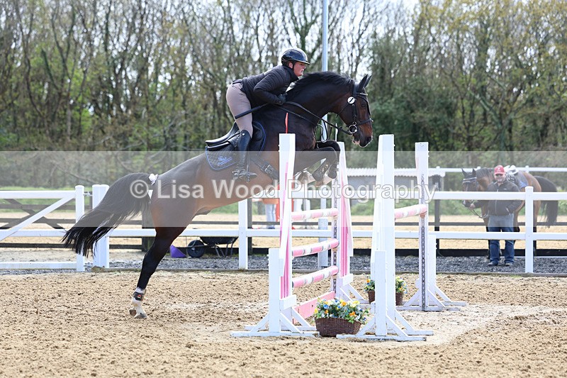 3E7A2311 - Class 8: Senior Foxhunter/1.20 open