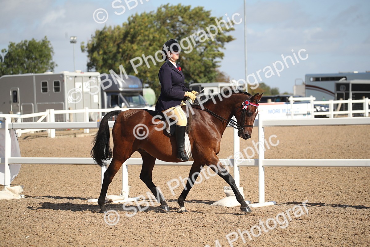 SBM_22758 - Class 602 - 2026 Area - Ridden Veteran
