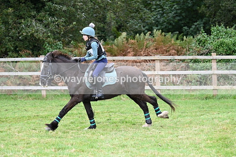 WJ7_7670 - 40cm Time 10:49 to 11:18