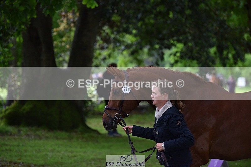 240522-164506-01129 - 219-HIT_CHAN_BOY_ALFA-Valentine_Emsens