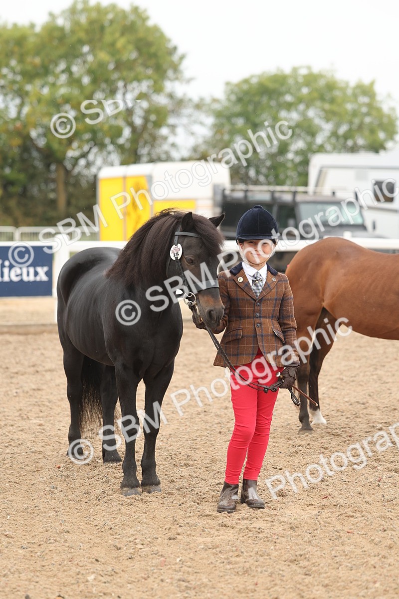 SBM_00554 - Class 13 Young Handler
