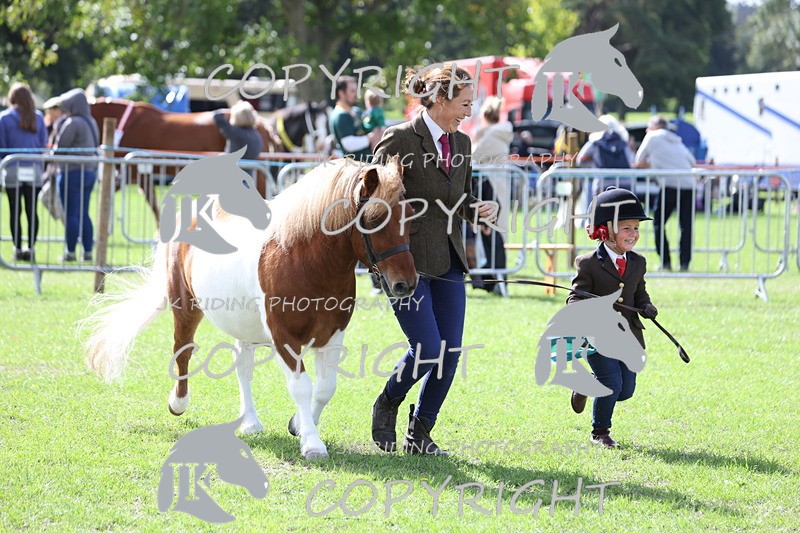 APP_3002 - Class 10a/b M&M in hand