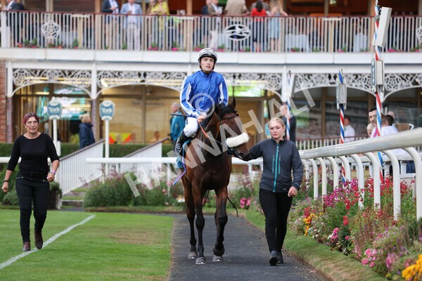 yr22072022r7-38 - Race 7 8.25pm The Sky Bet Go-Racing-In-Yorkshire Summer Festival Stakes