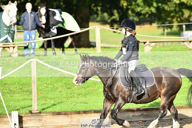 251004A-093450-00190 - Classes 1-2-3 40cm