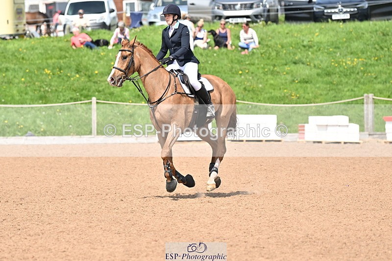 240510A-141141-07959 - Cls 23 Talent Seeker Inc 7yr old 14.10 to Finish