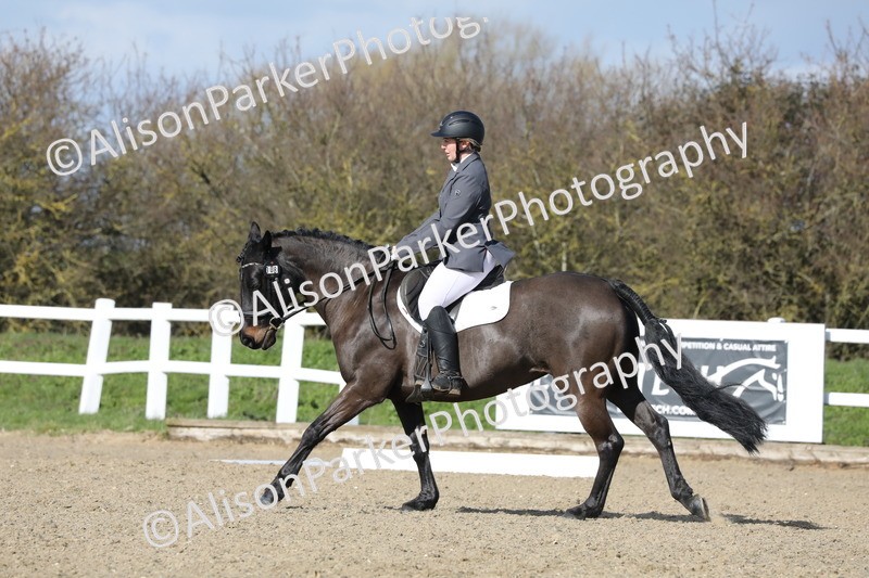 20260314-4863 - CT6 - Elementary 1