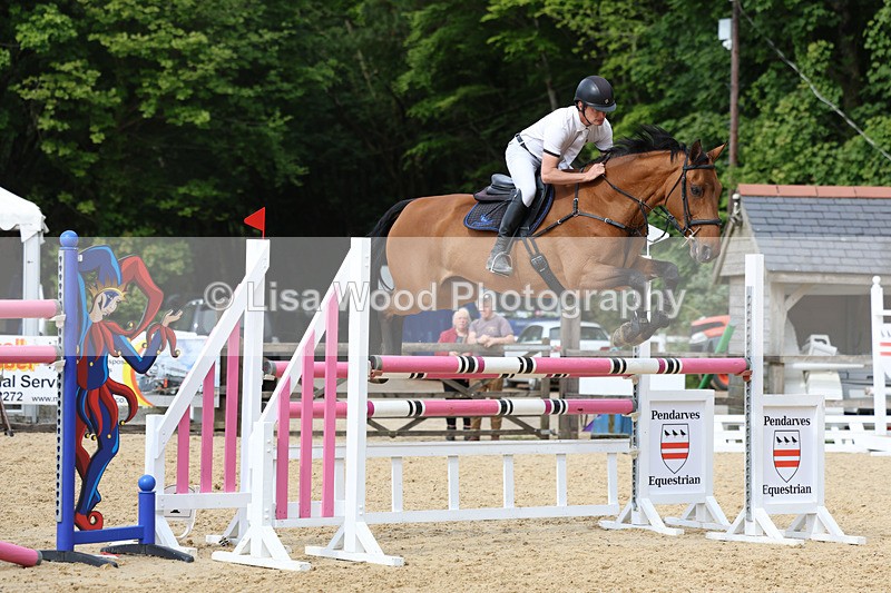 3E7A7807 - Class 8: Senior Foxhunter/1.20 open