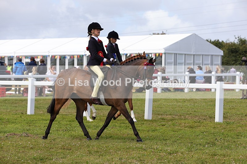 1X9A3934 - Class 31: Show Pony 148cm and under