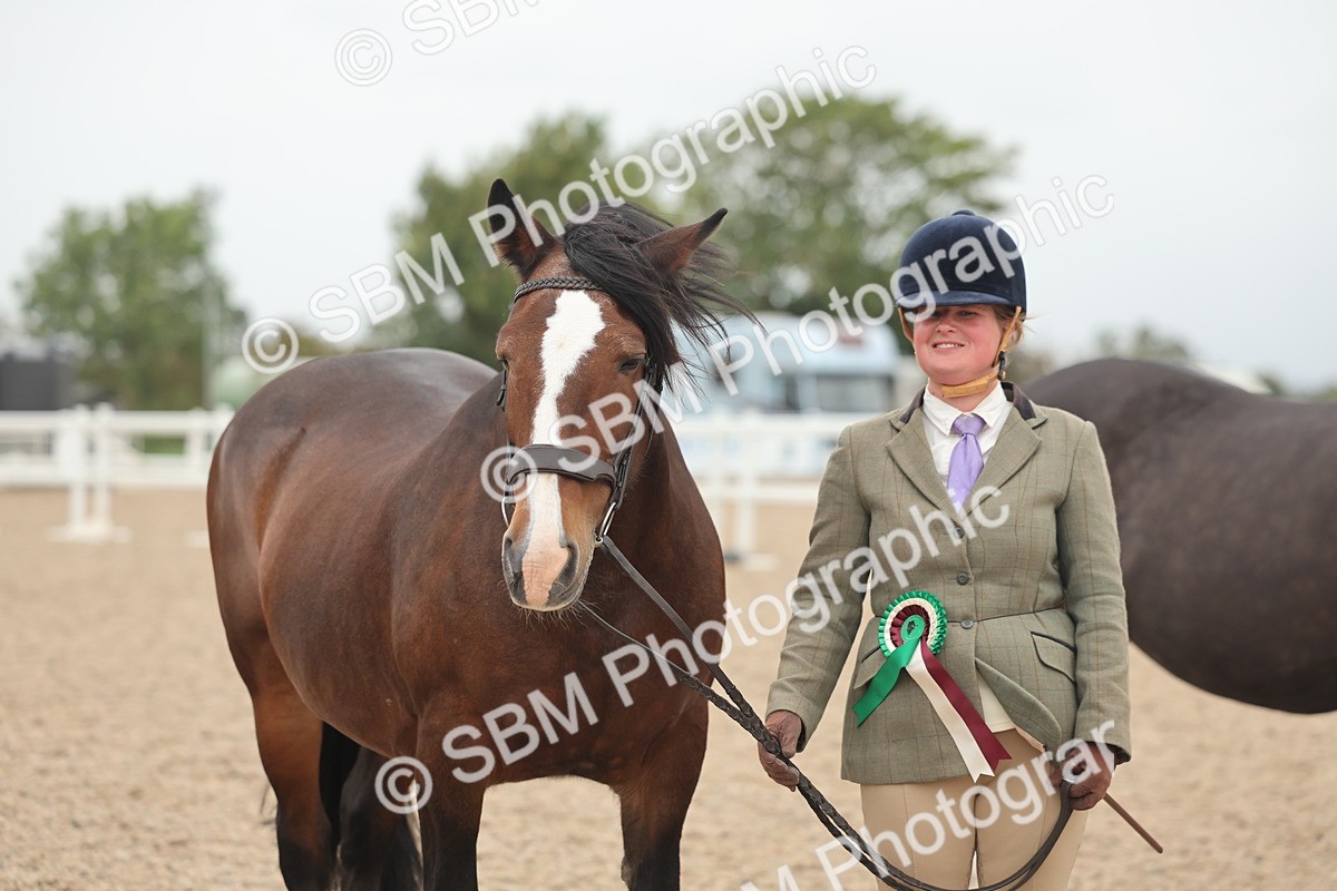 SBM_19900 - Class 318 - IH Part Bred Horse-Pony