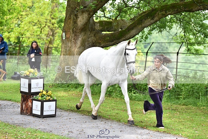 240522-155938-00629 - 112-DISCO_DONUT-Mahony_Knight