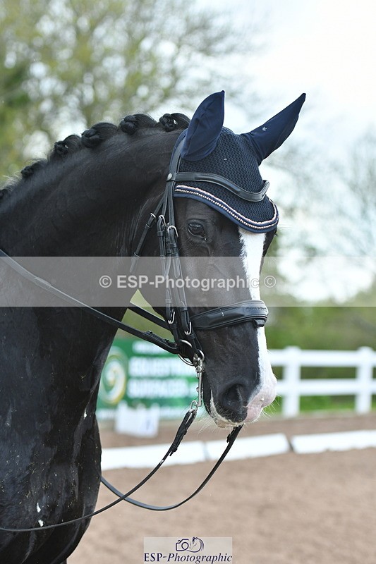 230511A-162754-01380 - BD Cls 18 FEI PSG