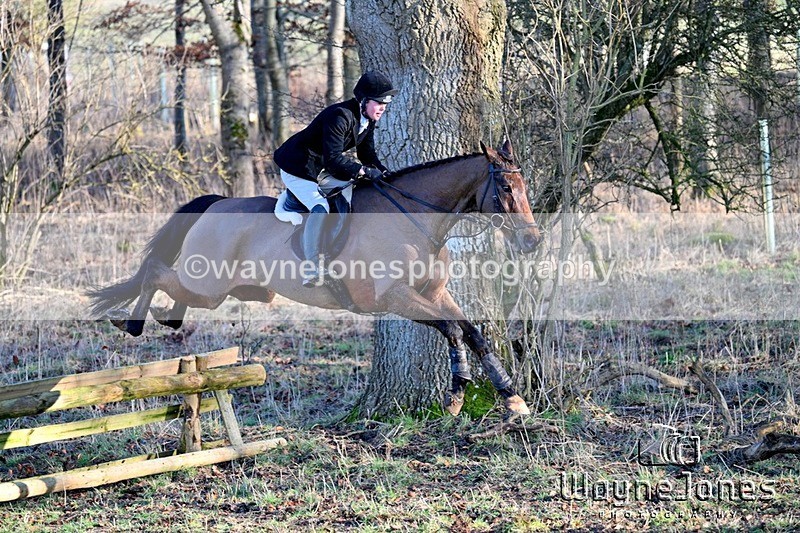 WJ7_2545 - Edited examples