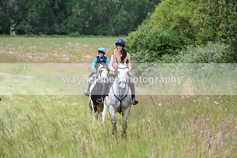 WJ6_8101 - Camera 1 Gallops