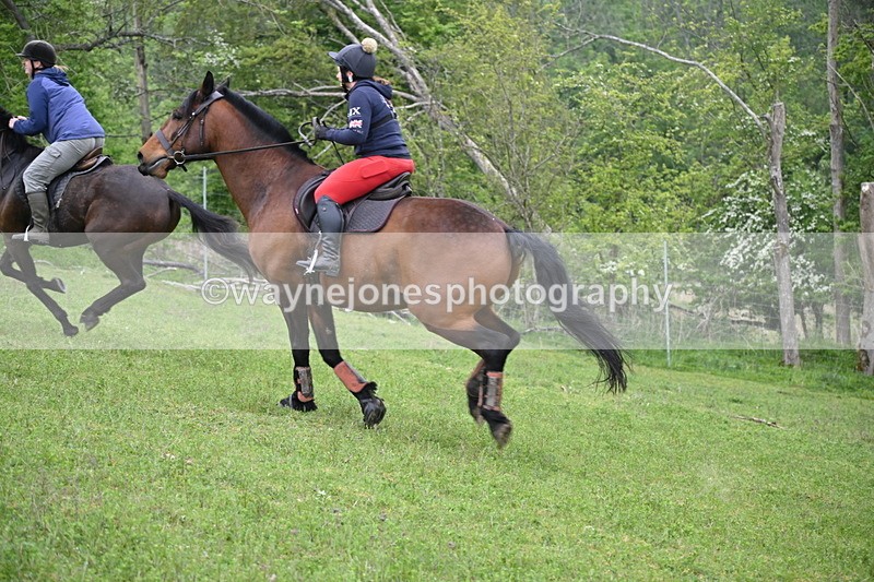 WJ6_2538 - A Camera