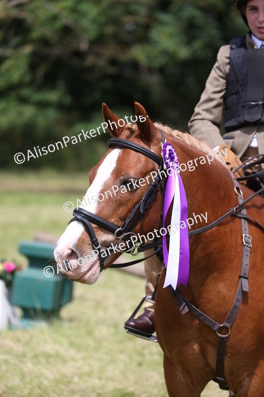 20260614-2162 - Class 21 - Novice Working Hunter Pony