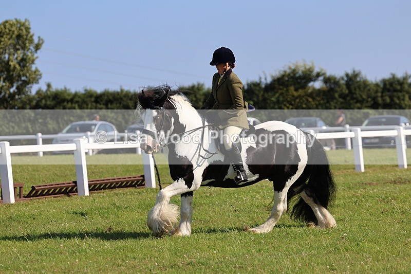 IMG_1518 - Class 30: Ridden Native/Trad Coloured Pony
