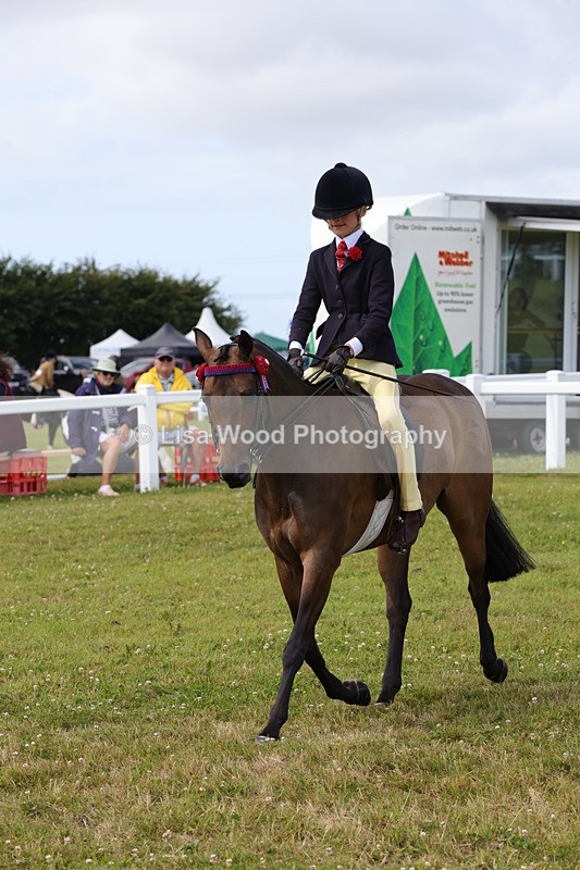 1X9A3898 - Class 31: Show Pony 148cm and under