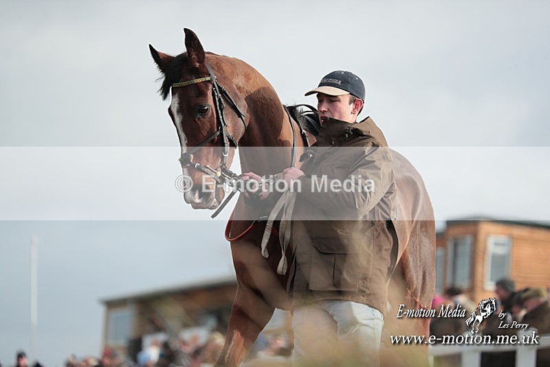 PtP 311223 384 - Larkhill Racing Club Point-to-Point 31/12/23