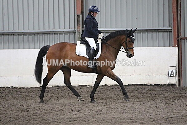 SIAL4897 - CAbin Dressage 5th july 2025
