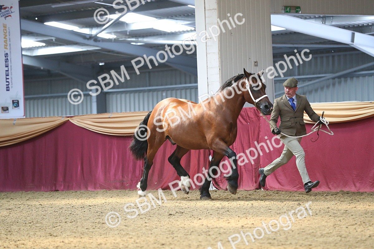 SBM_15197 - Class 501 M&M IH Supreme Final