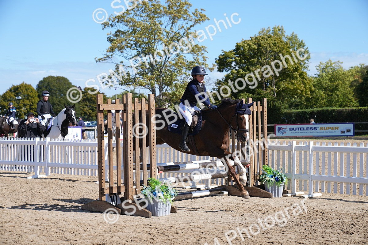 SBM_04924 - J56 - Clear Round 70cm