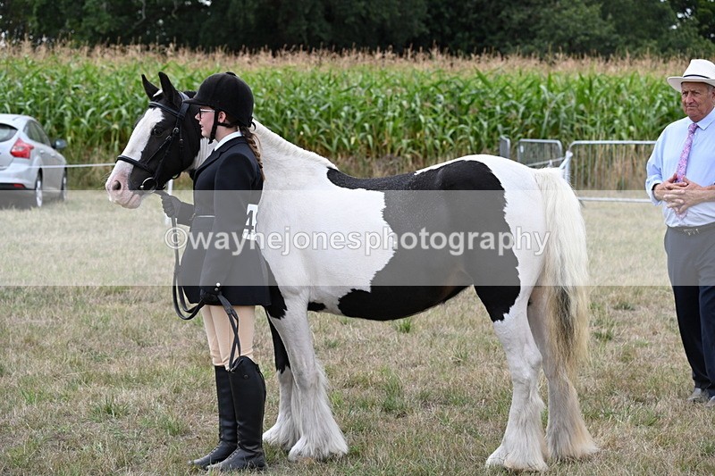 WJ6_5707 - Class 18 In-hand Coloured