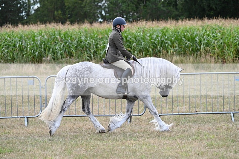 WJ7_5270 - Class 12 Ridden Cob