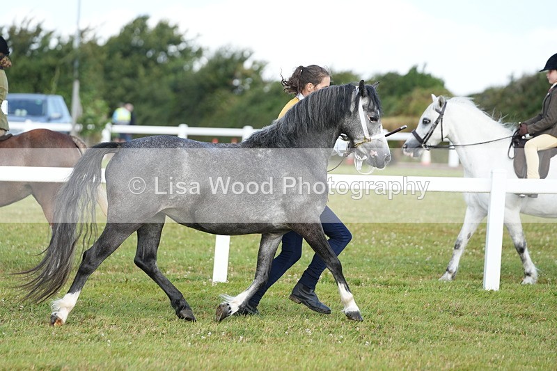 DSC04943 - Class 48: NPS M&M 2/3 year olds