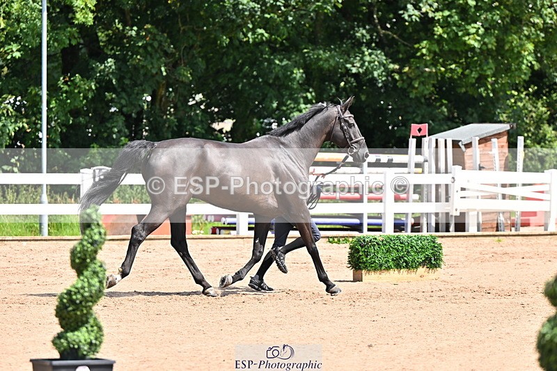 240718A-105245-01109 - Trot Up 12pm to 1pm