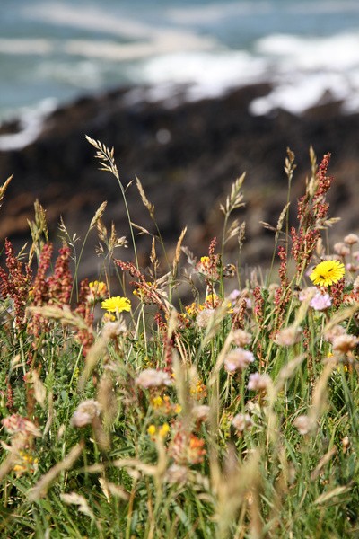 Baggy Point DEV _043 - Devon landscape Photography