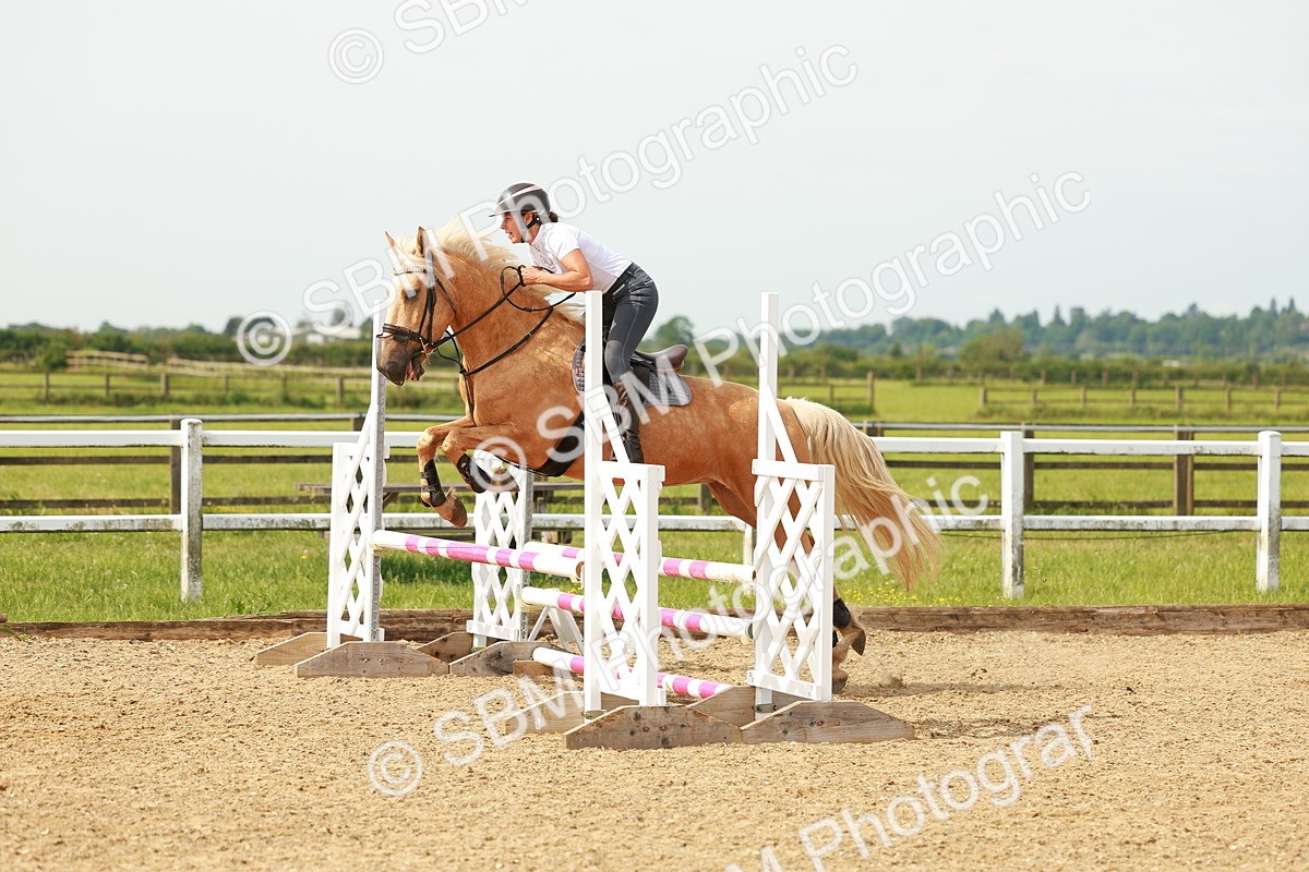 SBM_000247 - Class 1 - Clear Round