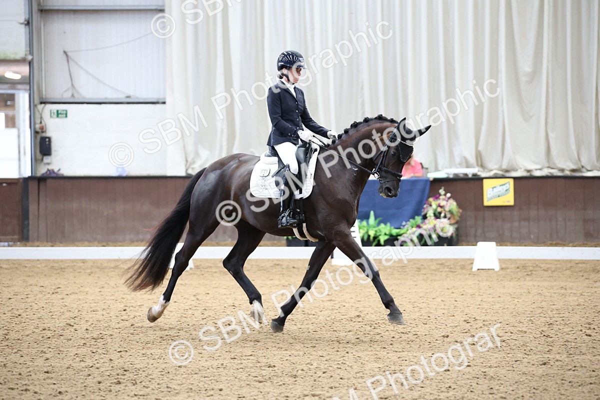 SBM_002134 - Class 5 - Novice 6 Gold - 9.00-10.10