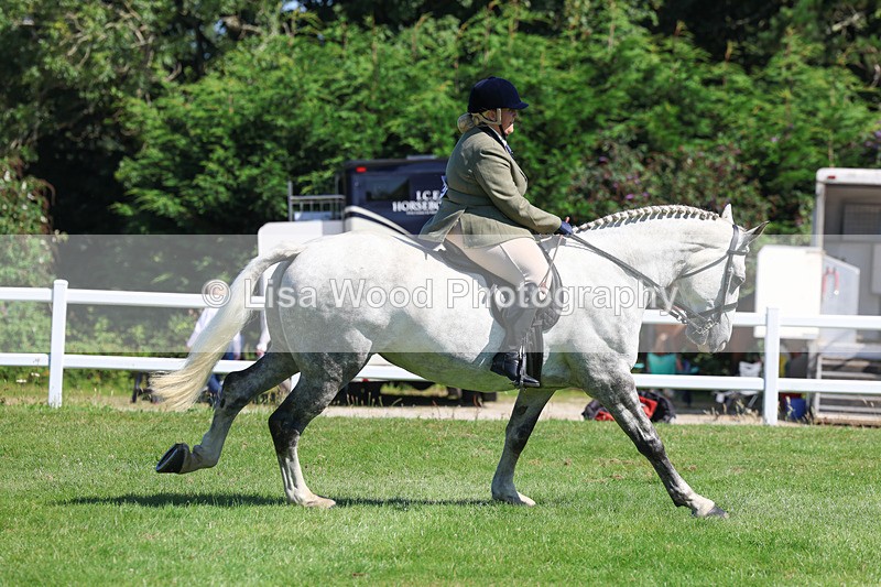 3E7A8351 - Class 4: Novice working Hunter