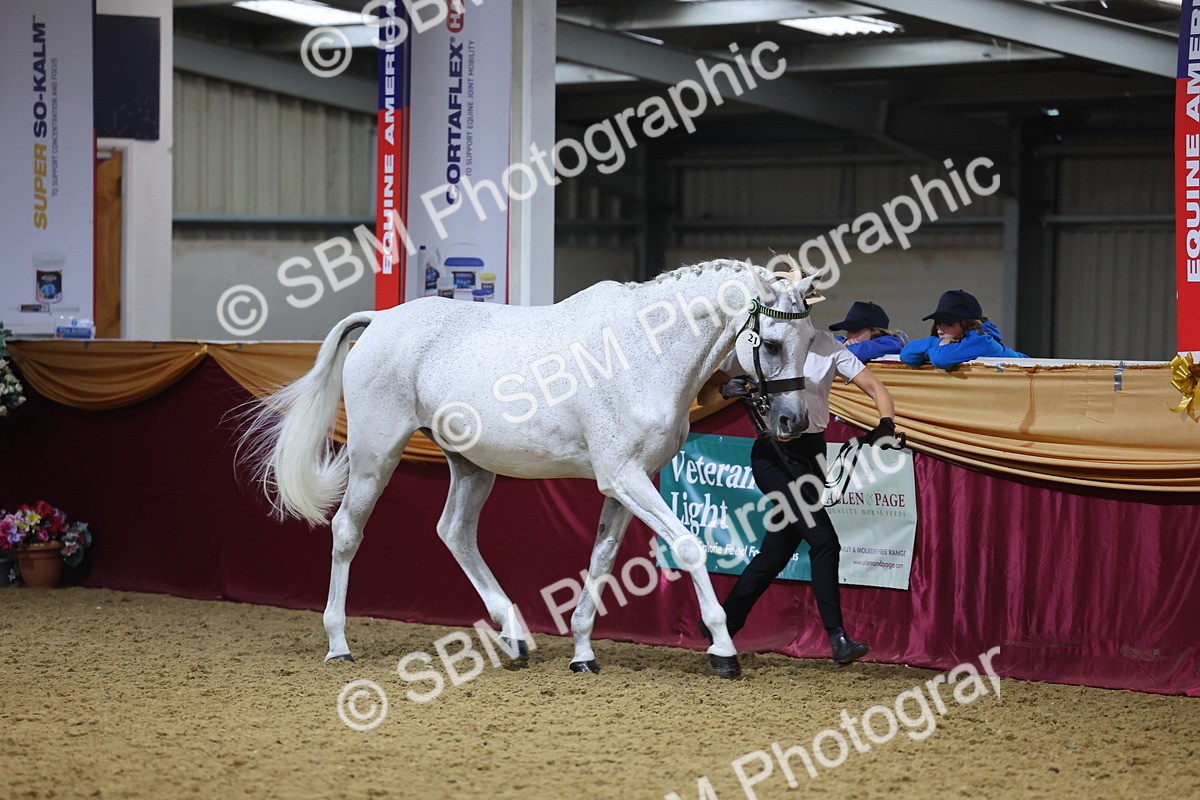 SBM_20808 - Class 902 - Supreme Final IH Veteran