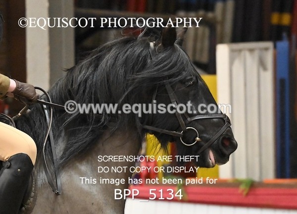 BPP_5134 - CLASS 4 50cm