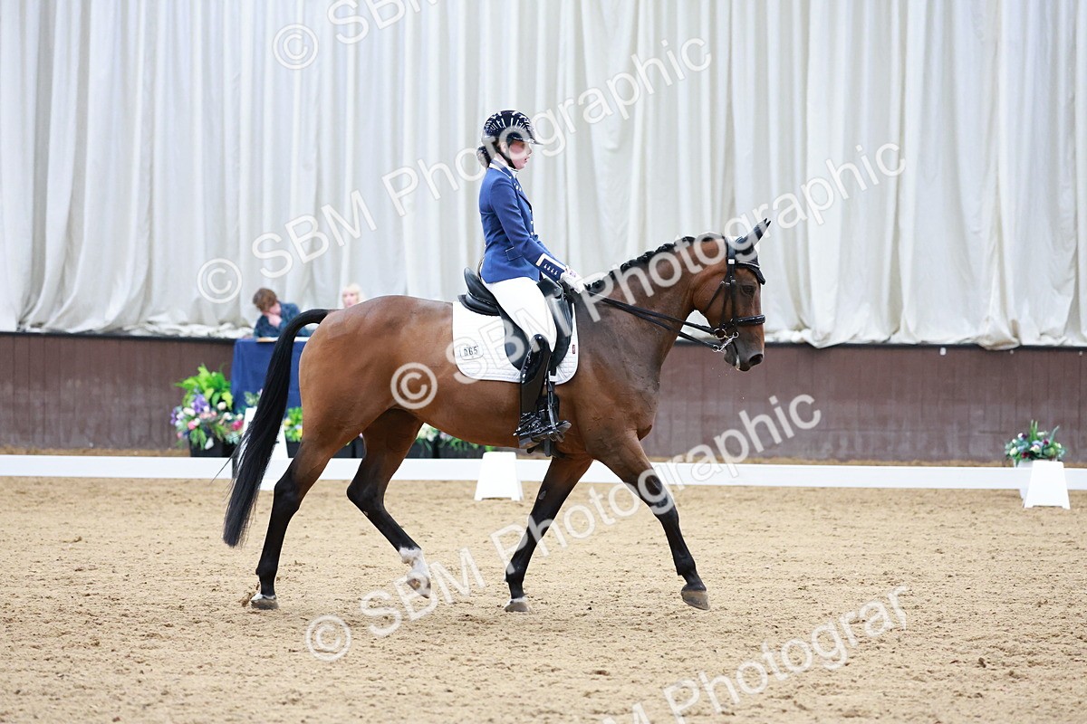 SBM_017864 - Class 15 - FEI Junior